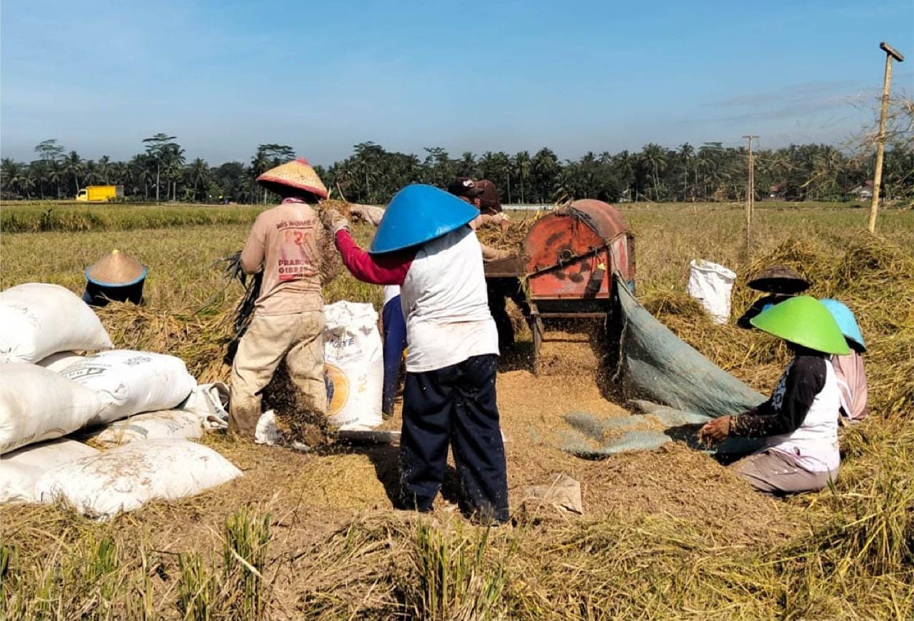 BAZNAS dan Peran Penting dalam Meningkatkan Kesejahteraan Petani di Purbalingga